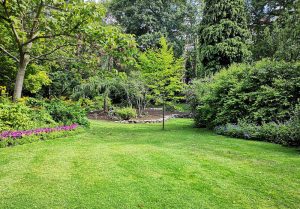 Optimiser l'expérience du jardin à Sallanches